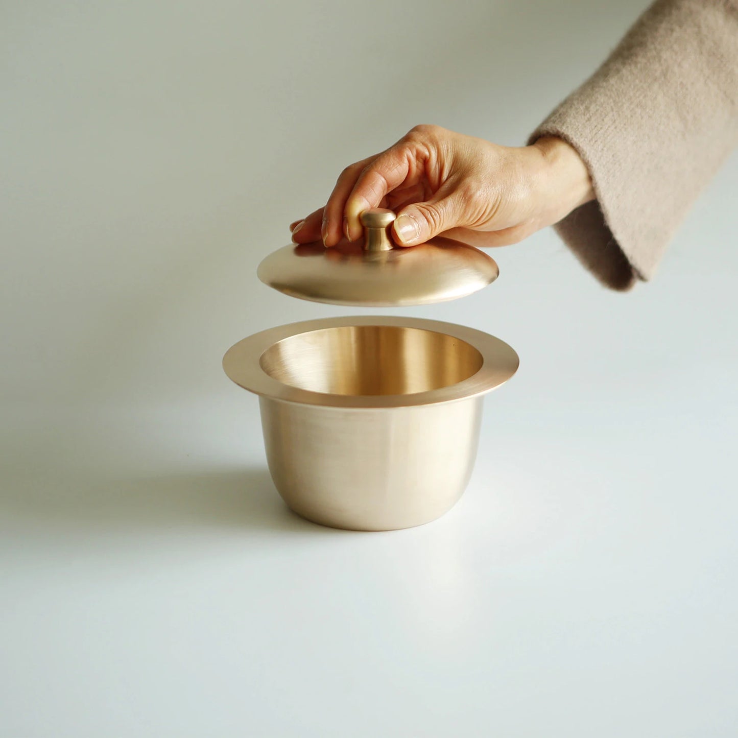 Modern Rice-cooker
